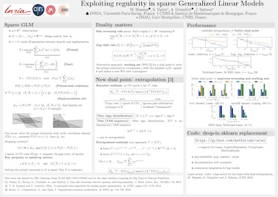 Exploiting regularity in sparse Generalized Linear Models